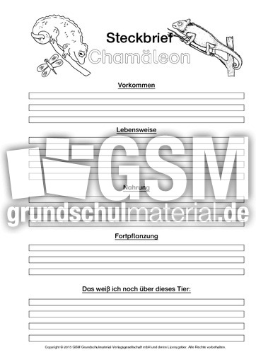 Chamäleon-Steckbriefvorlage-sw.pdf